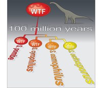 Discovery of 119-million-year-old selfish genes in yeast potentially alters our understanding of how parasitic DNA impacts genome evolution