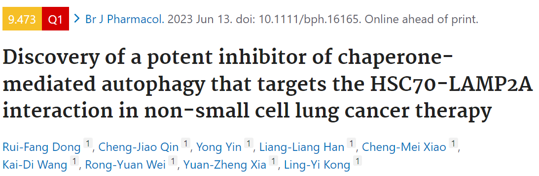 科学家揭示了PPD是一种靶向CMA抑制剂，是非小细胞肺癌治疗的好策略