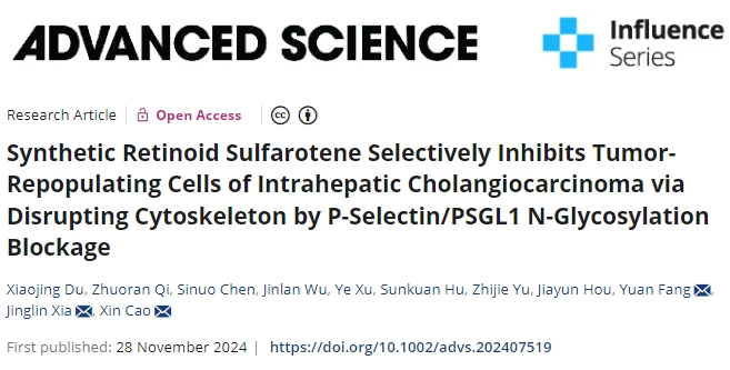 选择性抑制肿瘤！复旦大学发文：发现肝内胆管癌治疗新药