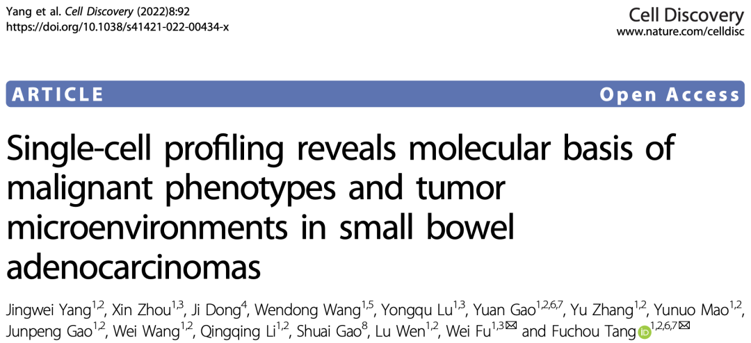 《细胞发现》：北大汤富酬/付卫团队发现小肠癌的四种恶性亚型！