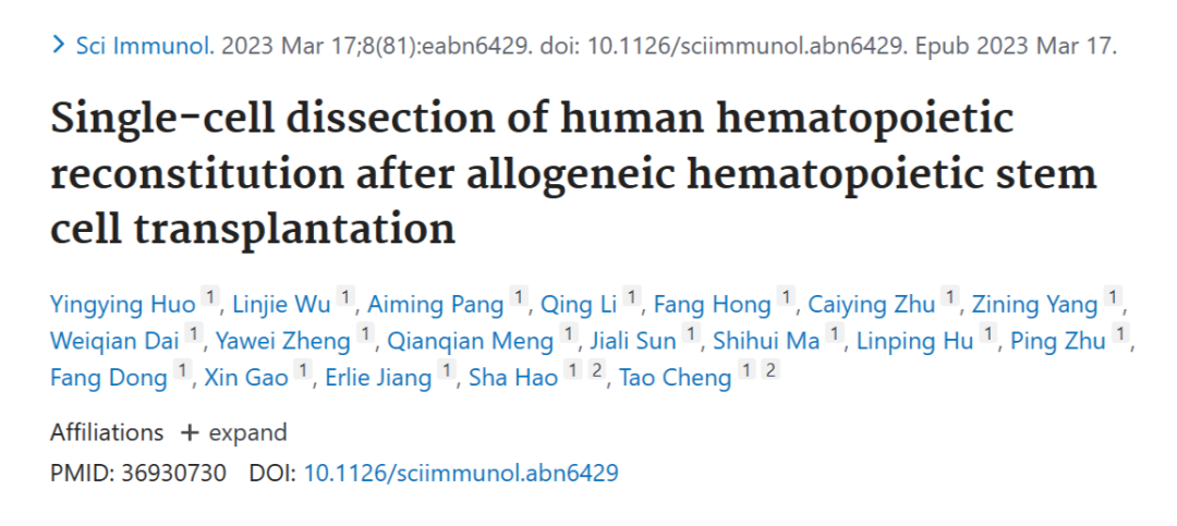 重大医学发现！程涛团队破解造血干细胞移植患者造血再生机制