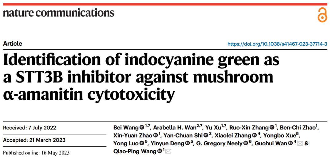 Nature子刊：中山大学王巧平/万国辉团队发现最毒蘑菇潜在解毒剂