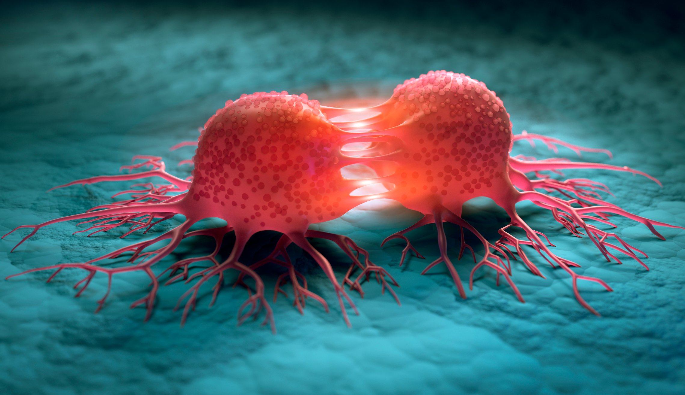 FDA approves Illumina's tumor biomarker test as a pan-cancer companion diagnostic