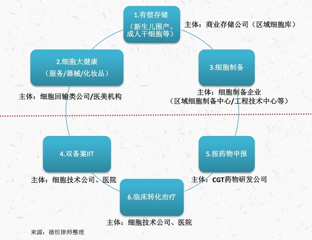 我国细胞行业当前业态、司法监管实践及未来监管模式研判报告