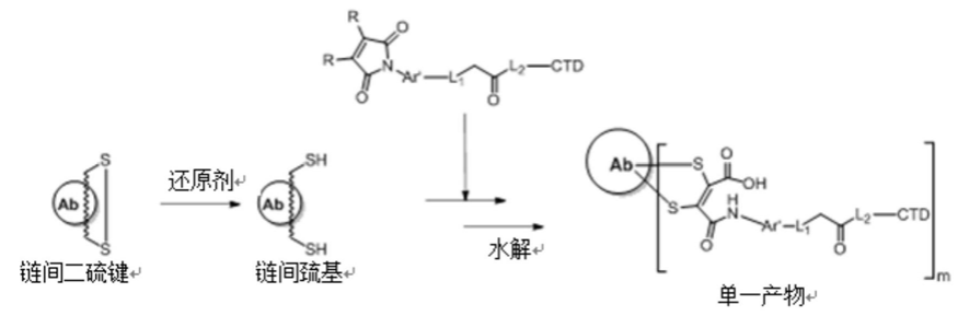 Nectin-4 ADC，中国创新药的me better机会？