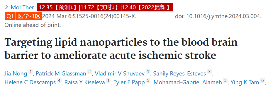 Molecular Therapy: 脂质纳米粒靶向血脑屏障改善急性缺血性卒中