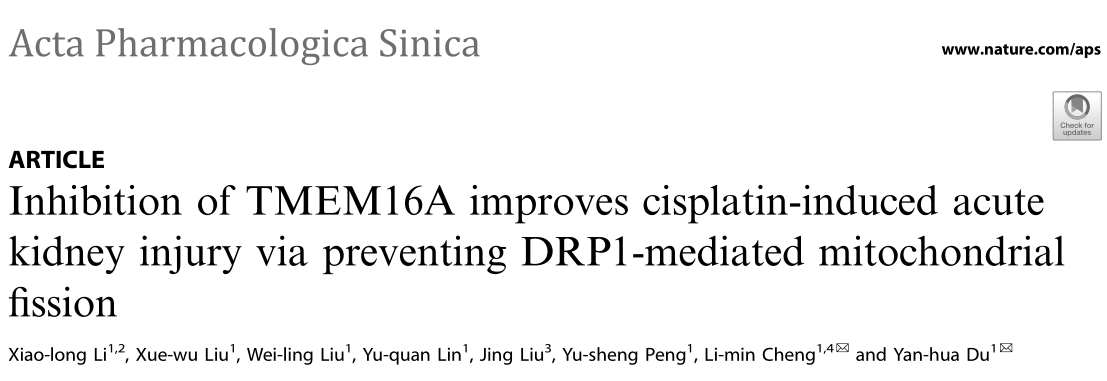 Acta Pharmacologica Sinica: 抑制TMEM16A可能是治疗急性肾损伤的新策略