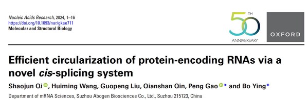 突破海外专利壁垒，艾博生物成功研发出基于Cis系统的环状RNA