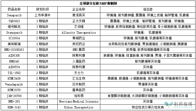 从senaparib申报上市，浅谈PARP抑制剂研究进展