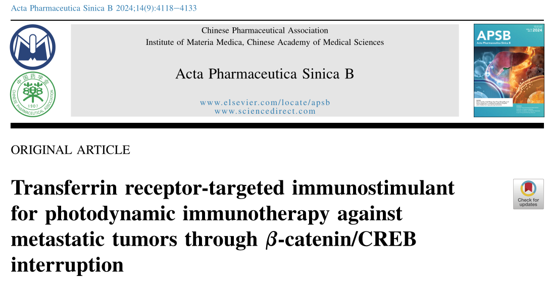 Acta Pharm Sin B：转铁蛋白受体靶向免疫刺激剂通过b-连环蛋白/CREB阻断转移性肿瘤的光动力免疫治疗