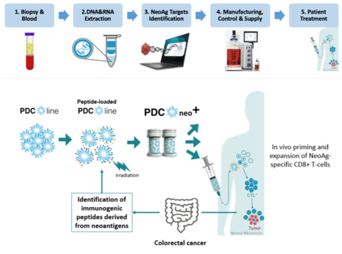 PDC*line Pharma and Partners Receive €8.1M From Walloon Region and Wallonia Health Cluster BioWin for Personalized Therapeutic Vaccine Project