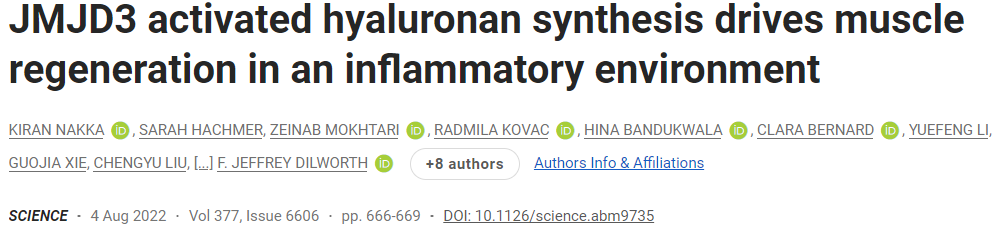 Science新发现：促进肌肉再生的关键物质——透明质酸