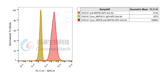 NKp30——癌症免疫治疗的前瞻性靶点