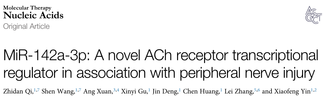 MIR-142a-3p：一种与周围神经损伤相关的新的烟碱型乙酰胆碱受体转录调节因子