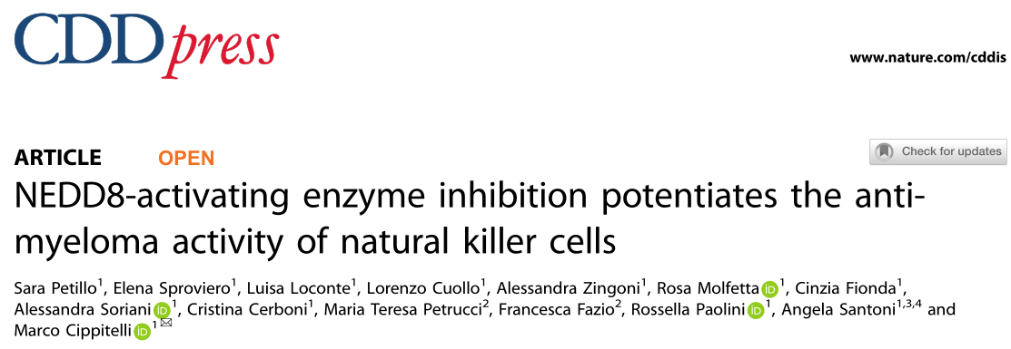 Cell Death and Disease：NEDD8激活酶抑制增强自然杀伤细胞的抗骨髓瘤活性