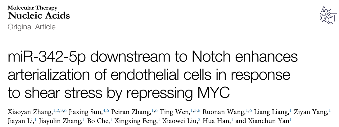 第四军医大学晏贤春团队揭示了miR-342-5p是治疗缺血性疾病的潜在靶点