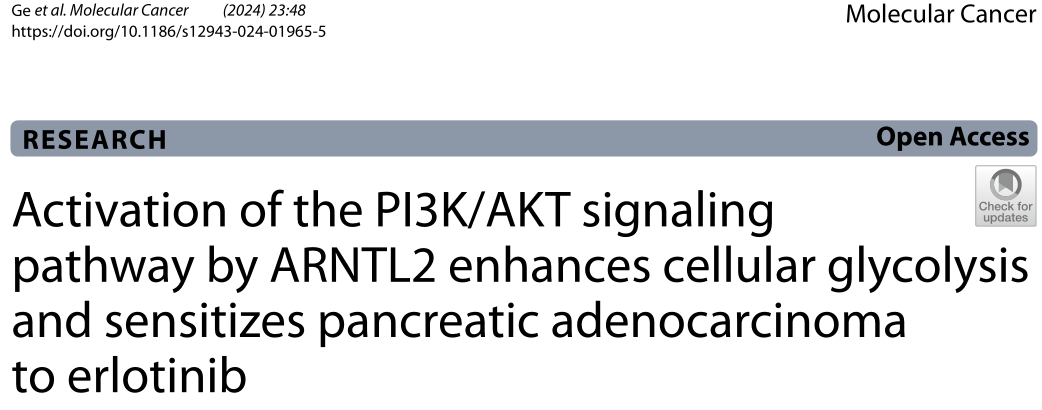 Mol Cancer.：ARNTL2是预测厄洛替尼治疗胰腺癌预后和治疗效果的可靠生物标志物