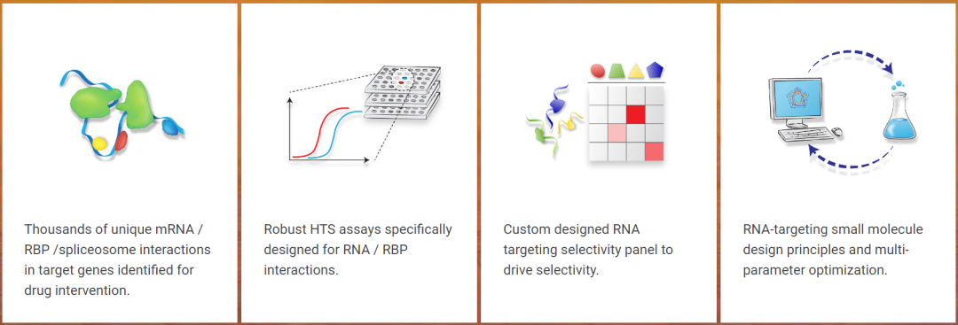 靶向RNA，破解“不可成药”难题，新锐完成5200万美元A轮融资