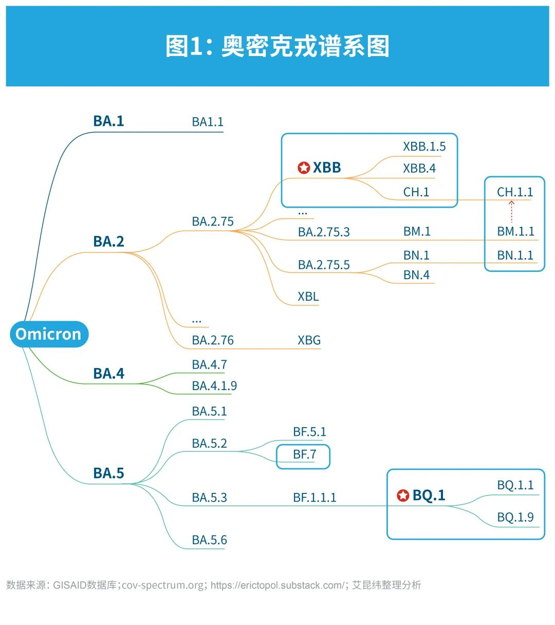 持续追踪：COVID-19毒株变异和药品疫苗研发情况