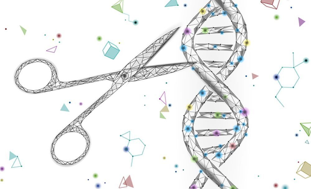 SynBioBeta创始人：合成生物学在食品和农业中的应用广泛，但仍处于早期阶段