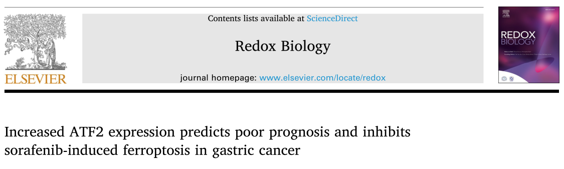 Redox Biology：索拉非尼诱导GC中铁死亡的新机制