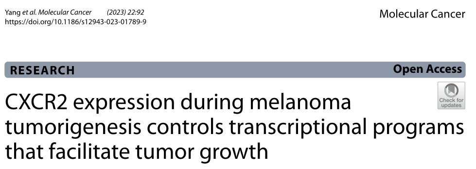 CXCR2表达/活性的缺失在黑色素肿瘤的关键机制