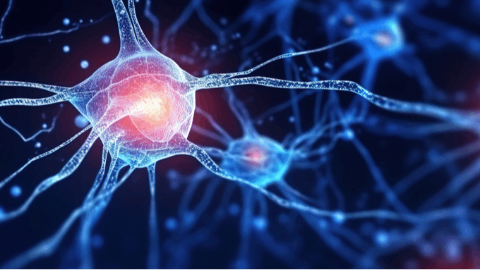 ProMIS Neurosciences Achieves Milestone in Development of Therapeutic Alpha-Synuclein Vaccine