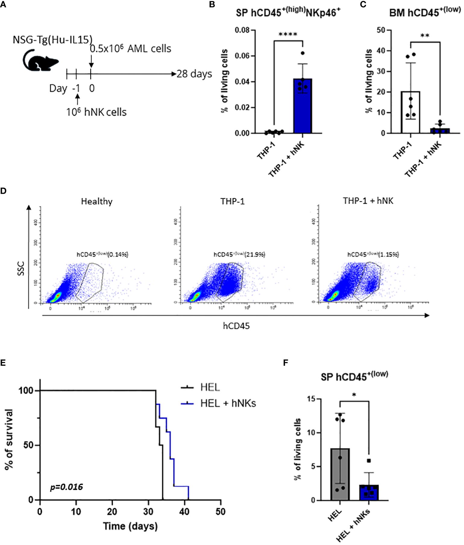 Front Immunol：科学家揭示白血病细胞和免疫细胞之间神秘未知的相互作用