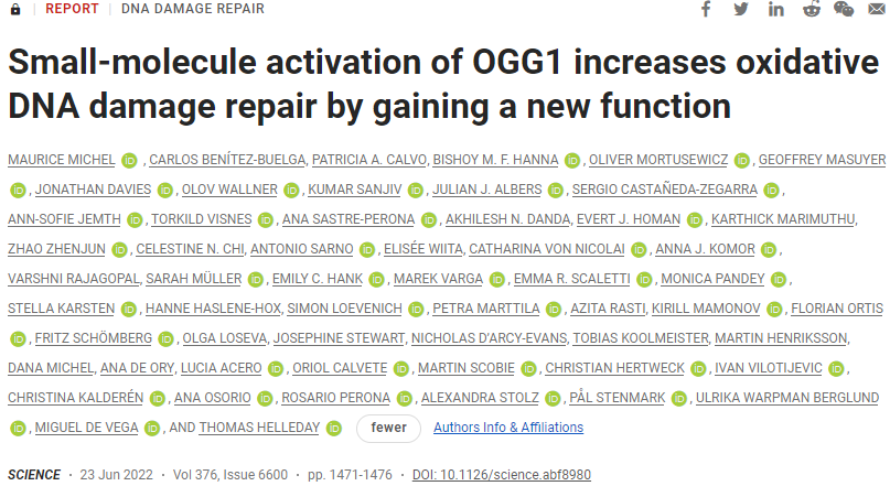 Science：添加一种小分子有机催化剂改进蛋白OGG1修复DNA氧化性损伤的能力