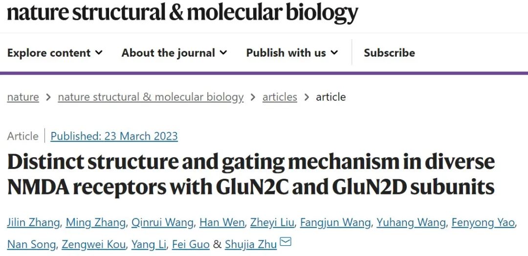 竺淑佳团队揭示NMDA受体功能多样性的分子基础