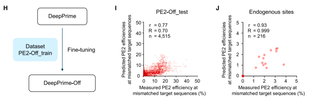 Cell重磅：通过计算模型预测先导编辑效率及脱靶率，拓展其应用前景