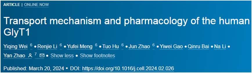 Cell：我国科学家从结构上揭示人类GlyT1的转运机制