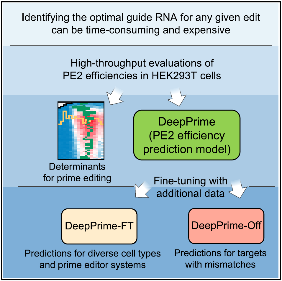 Cell重磅：通过计算模型预测先导编辑效率及脱靶率，拓展其应用前景