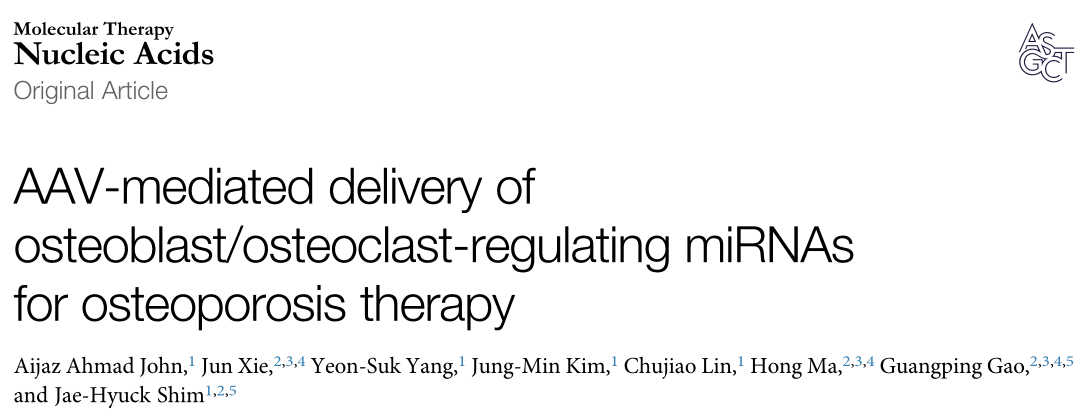 非编码RNA: AAV介导的成骨细胞/破骨细胞调控miRNAs治疗骨质疏松症