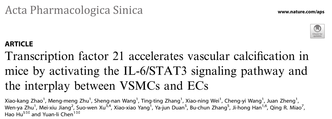 Acta Pharmacol Sin.：合肥工业大学的研究者们揭示了血管钙化的发病机制