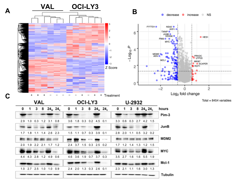 Molecular Cancer: 科学家们揭示了CDK9i诱导表观遗传格局的重新编程