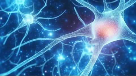 FundaMental Pharma GmbH announces publication of a groundbreaking Proof-of-Concept Study in Cell Reports Medicine using a TwinF Interface Inhibitor for the Treatment of Amyotrophic Lateral Sclerosis