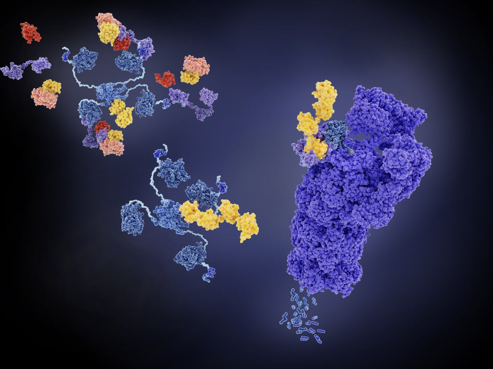 Kymera’s novel MDM2 degrader granted orphan designation for AML