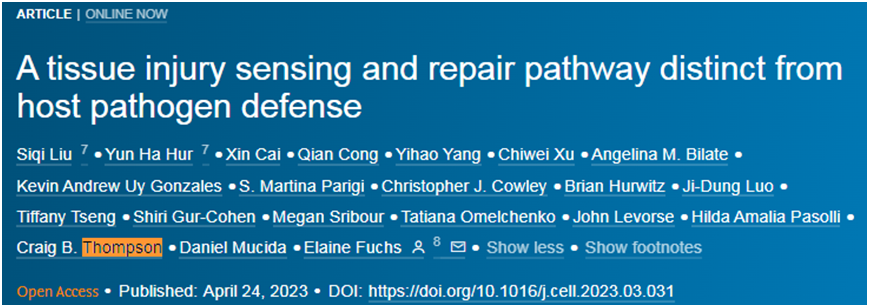 Cell：重大进展！揭示一种新的不依赖于细菌感染的伤口修复机制