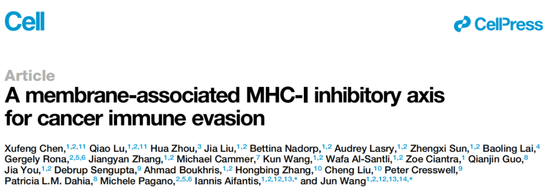 Cell：为“冷肿瘤”的免疫治疗提供新机制，陈旭峰/鲁峤等发现癌症免疫逃逸的膜相关MHC-I抑制轴