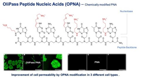 Vanda Pharmaceuticals and OliPass Announce Strategic Partnership to Develop Antisense Oligonucleotide Therapeutics