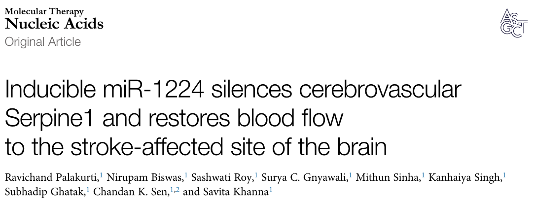 小核酸药物! 靶向诱导型miR-1224可以显著恢复脑中风