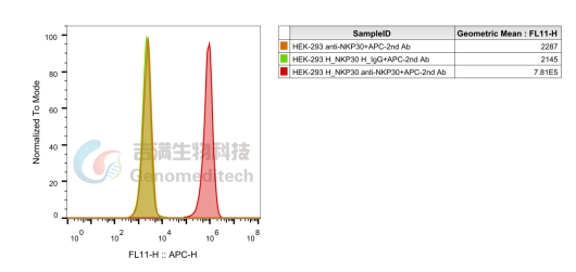 NKp30——癌症免疫治疗的前瞻性靶点