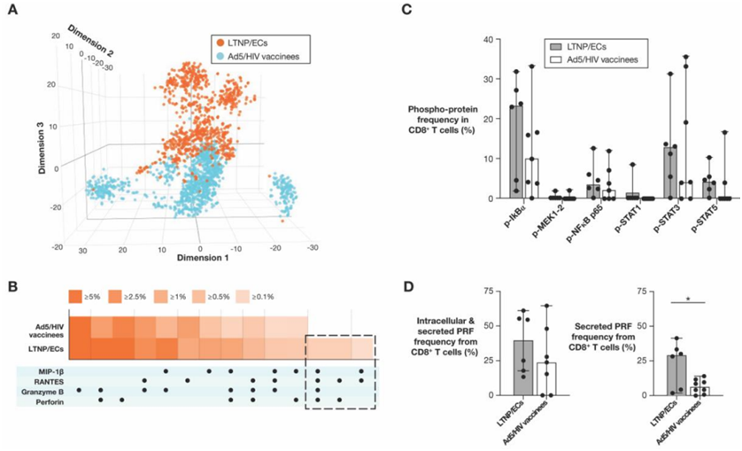 Science：新研究表明要成功开发有效的HIV疫苗，可能需要促进CD8+T细胞产生的强烈的免疫反应