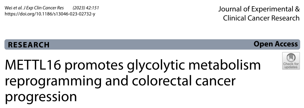 中国科技大学研究者们揭示了METTL16促进糖酵解代谢重编程与结直肠癌进展