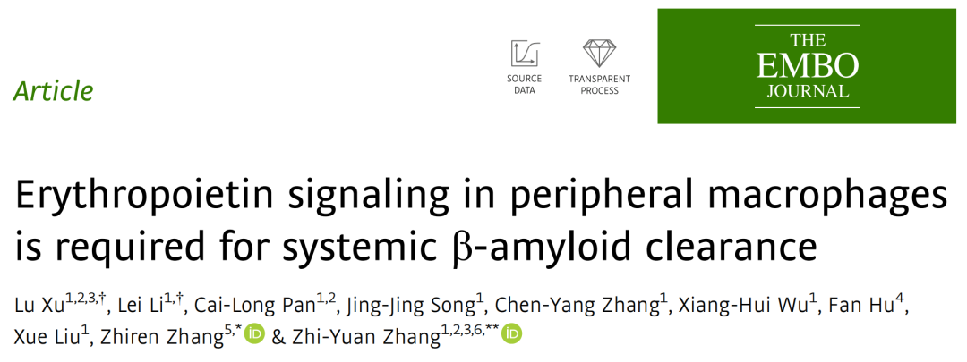 EMBO J：由外至内，搞定Aβ！中国科学家发现治疗阿尔茨海默病新机制