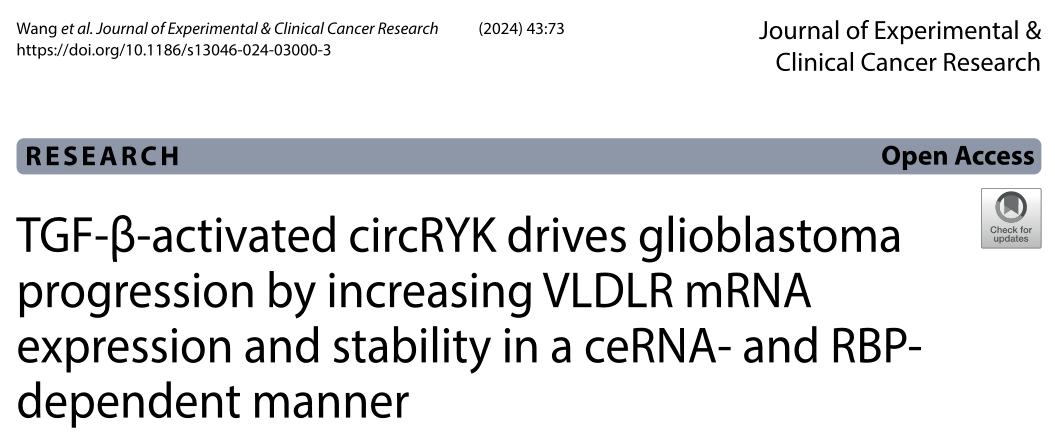 南京医科大学附属第一医院研究者们揭示了CircRYK促进胶质母细胞瘤的进展