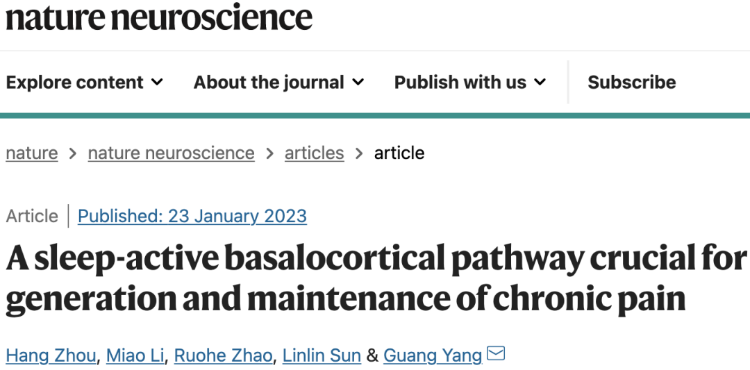 《自然·神经科学》：越睡身上越疼？华人科学家首次揭示睡眠促进慢性疼痛形成与维持的机制