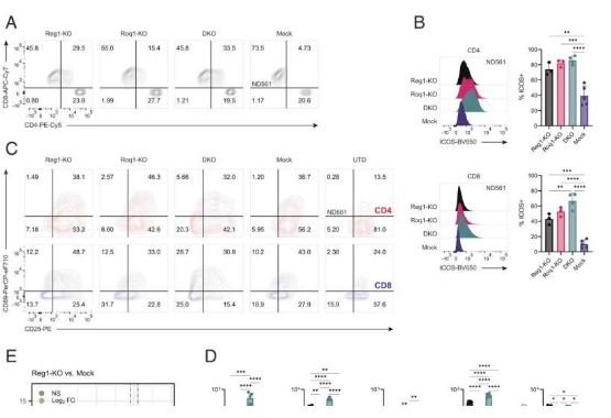 PNAS：科学家有望开发出一种能改善实体瘤中T细胞疗法效力的潜在策略