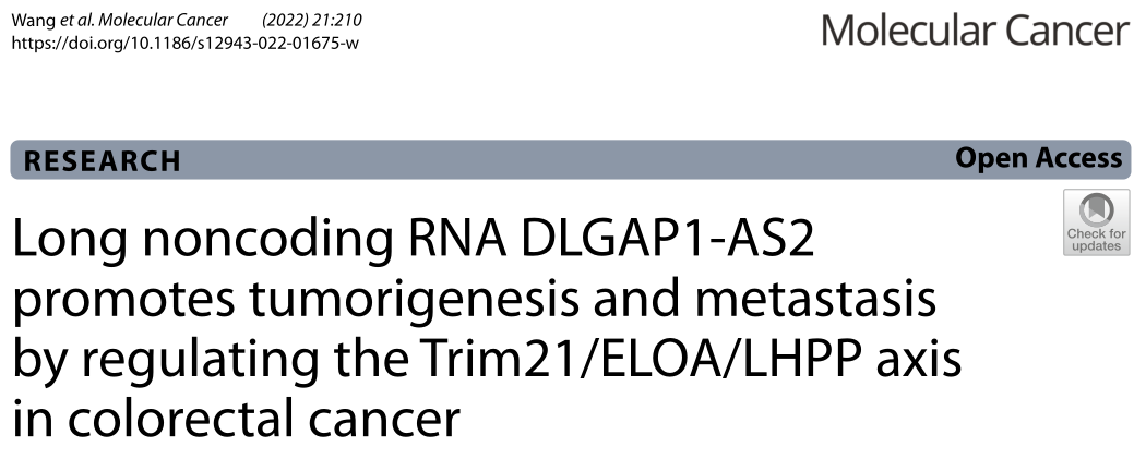 Molecular Cancer: 长非编码RNA DLGAP1-AS2通过调节Trim21/ELOA/LHPP轴促进结直肠癌的发生和转移